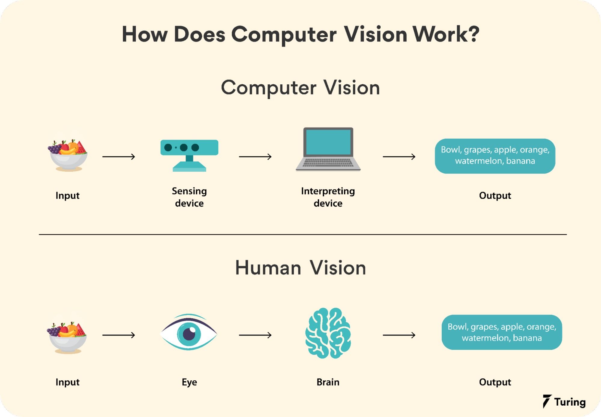 What Is Computer Vision: Applications, Benefits and How to Learn It